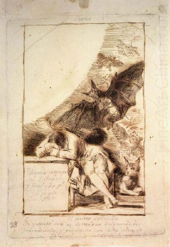 Francisco Goya Sueno china oil painting image